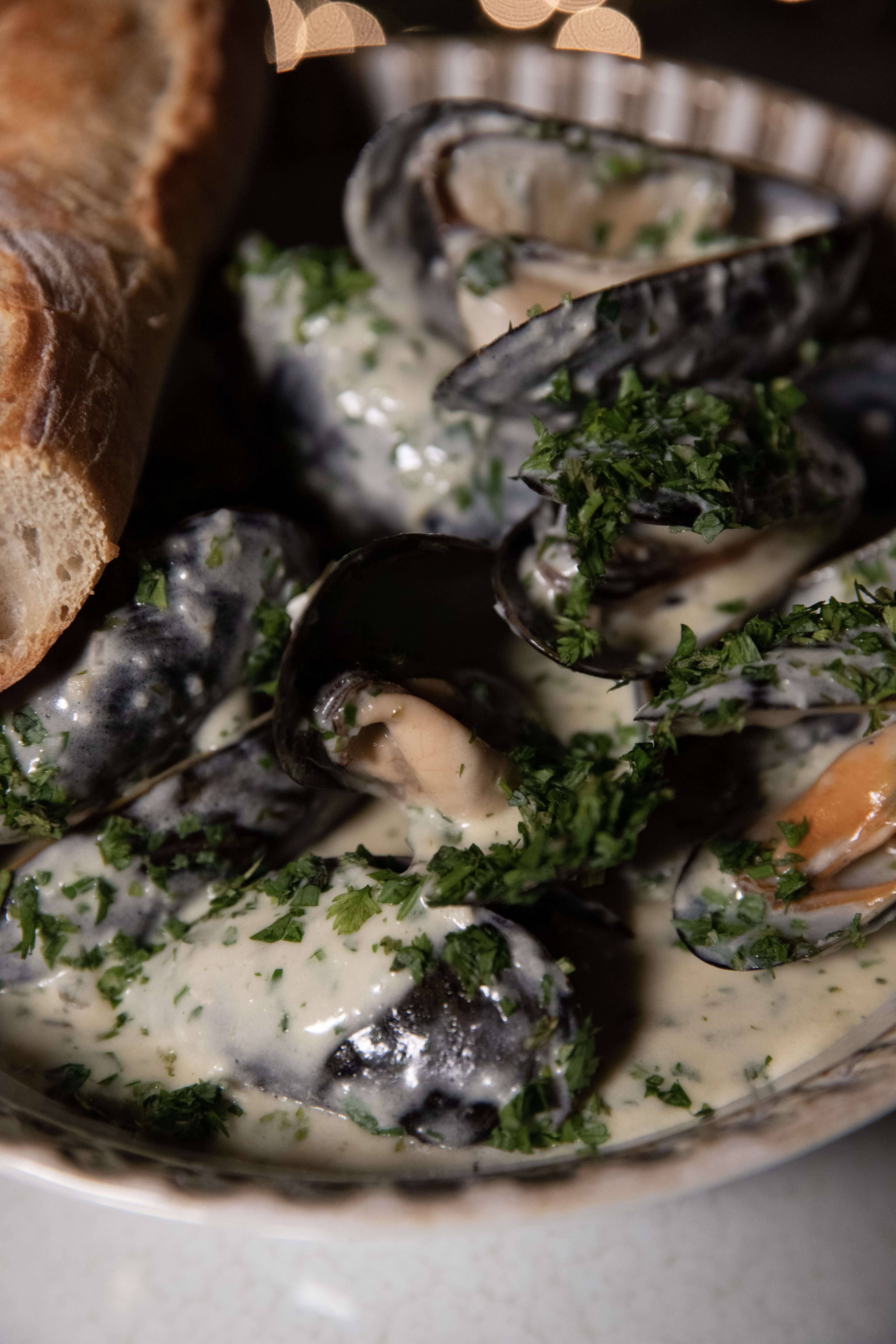 Mussels